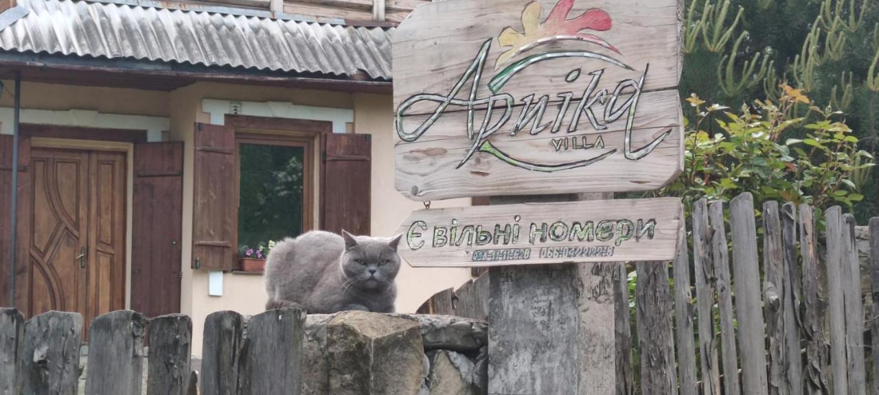 ホテル Arnika タターリウ エクステリア 写真
